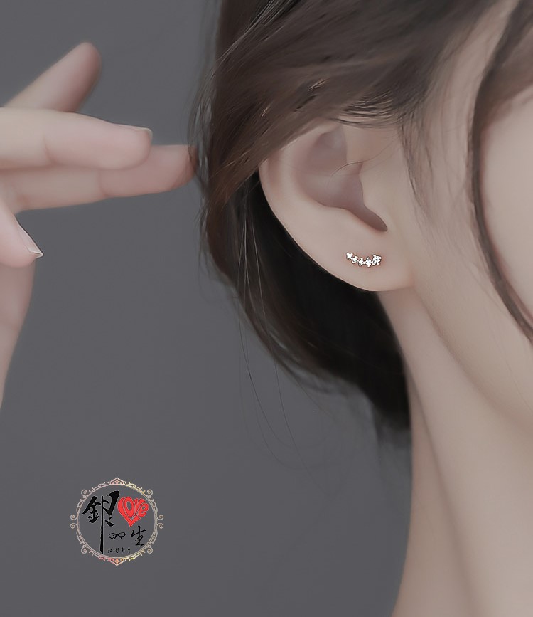 s925純銀耳釘 璀璨流星 排鑽耳環